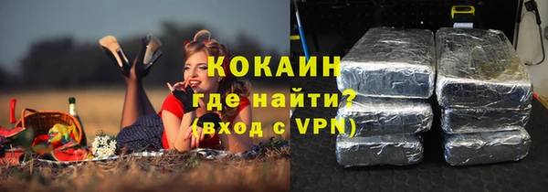 прущие крисы Горняк