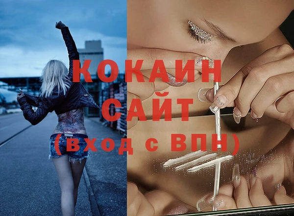 прущие крисы Горняк