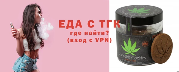 индика Вяземский