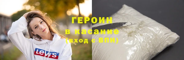 индика Вяземский