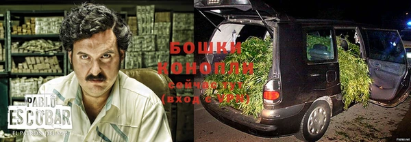 гидропоника Горно-Алтайск