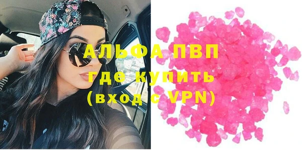 индика Вяземский