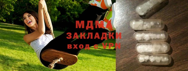 индика Вяземский