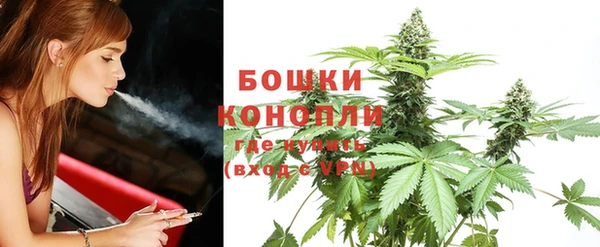 гидропоника Горно-Алтайск