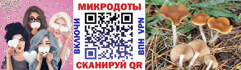 Купить где  Фатеж  Галлюциногенные грибы GOLDEN TEACHER 